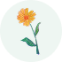 花のアイコン